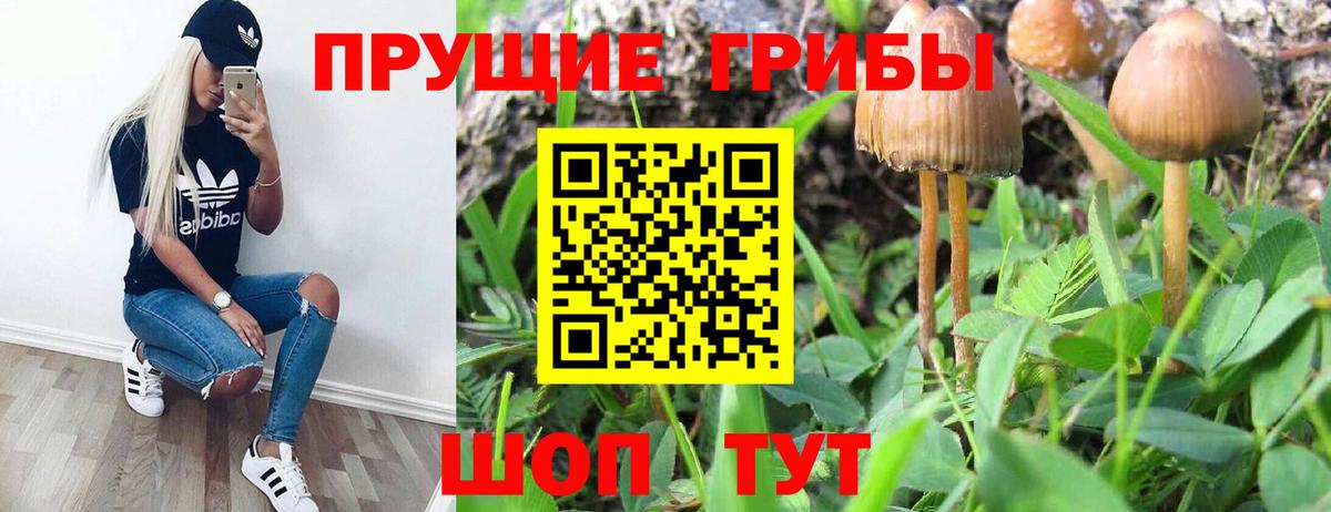 Дивногорск  Галлюциногенные грибы MAGIC MUSHROOMS  Вход с VPN 